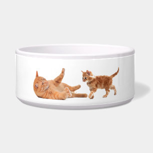 Comedero Imagen de mascota para el gran Mascota-Bowl