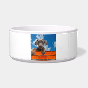 Comedero Imagen de mascota para el gran Mascota-Bowl