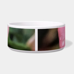 Comedero Impresión de arte botánico Rosa romántico