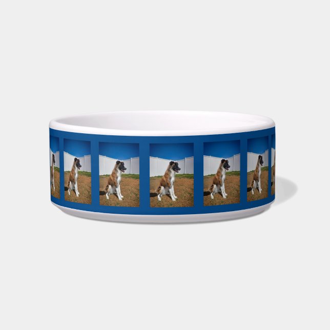 Comedero Impresionante borde Collie Pup Ceramic Pet Bowl (Frente)