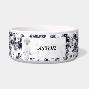 Comedero Impresiones de la dupla