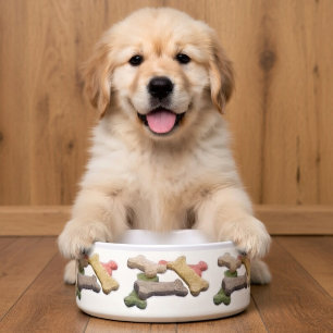 Comedero Invitación multicolora del perro de los mejores