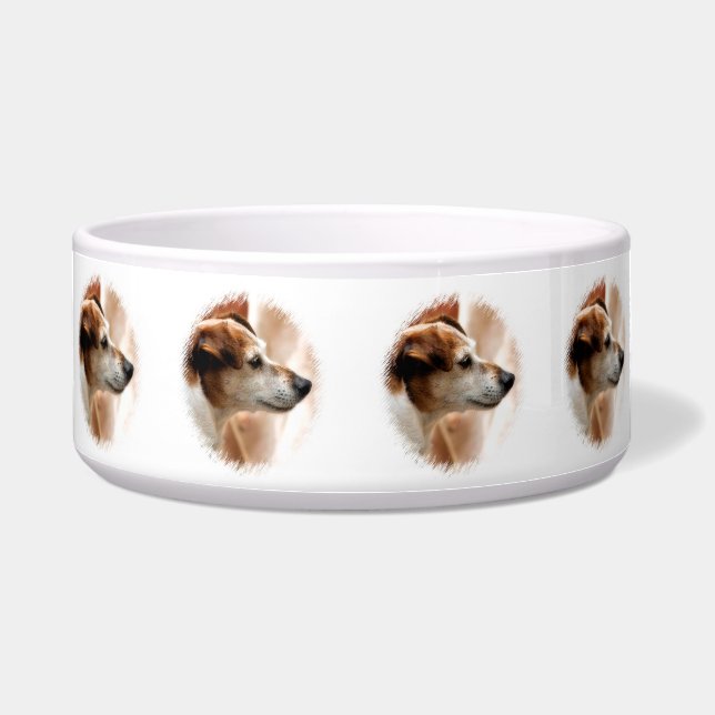 COMEDERO JACK RUSSELL TERRIER DOG (Frente)