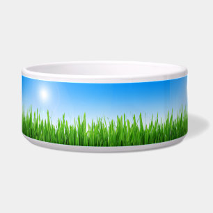 Comedero Jardín de césped verde con diseño de cielo azul
