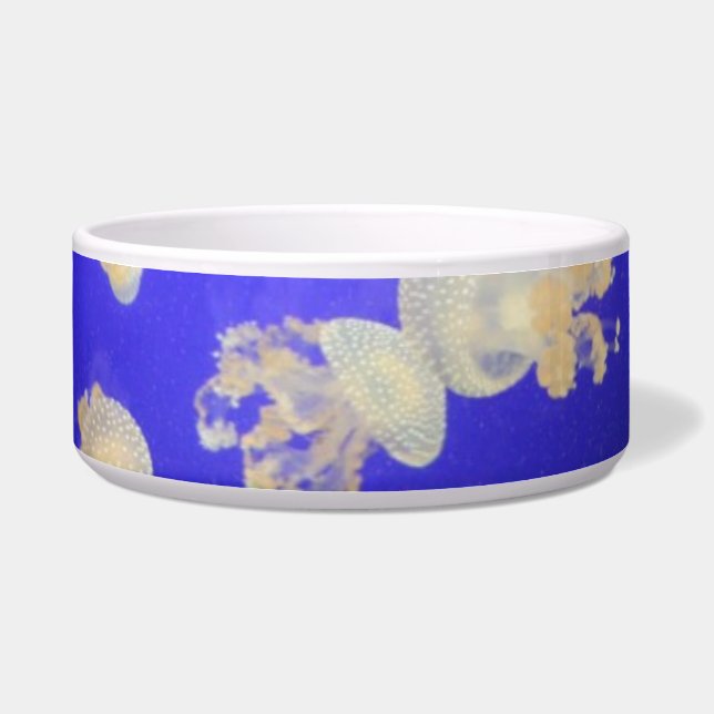 Comedero Jellyfish Pet Bowl (Frente)