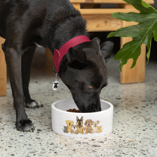 Comedero JollyKins perros y gatos