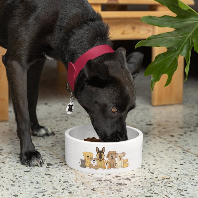 Comedero JollyKins perros y gatos (Subido por el creador)