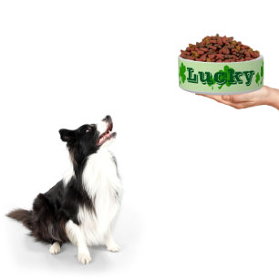 Comedero Juguete verde irlandés afortunado shamrock mascota