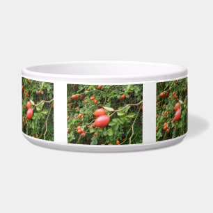 Comedero Juicy Red Rose Hips Dog Bowl
