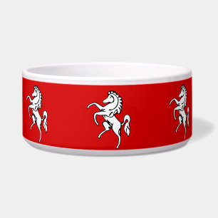 Comedero Kent County Flag Pet Bowl