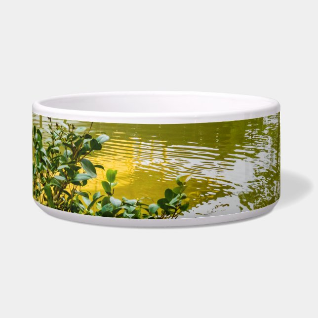 Comedero Kinkaku-ji, el pabellón dorado, Kioto (Frente)