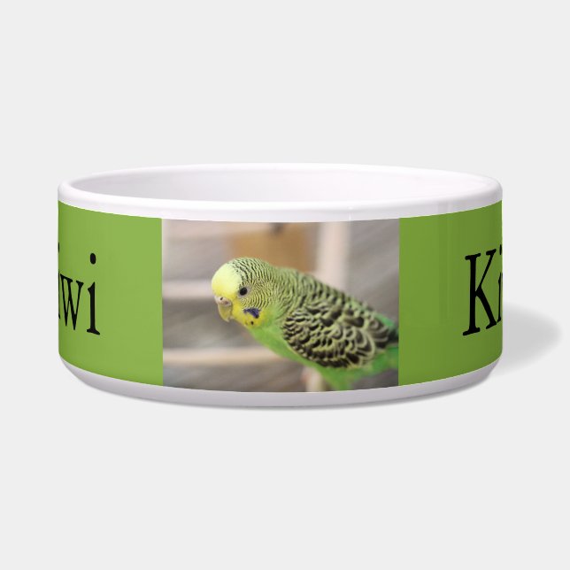 Comedero Kiwi (Frente)