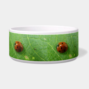 Comedero Ladybug Dog Bowl