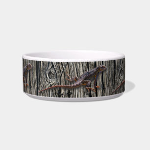 COMEDERO LAGARTO EN LA MADERA