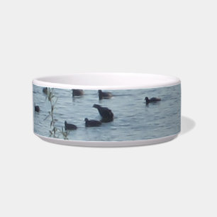 Comedero Lake Birds Pet Bowl