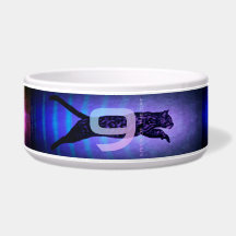 Las 9 Vidas del Tazón de Mascota de Cerámica del G