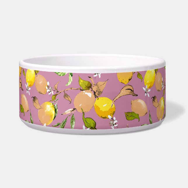 Comedero Lemones acuarelas 25 (Frente)