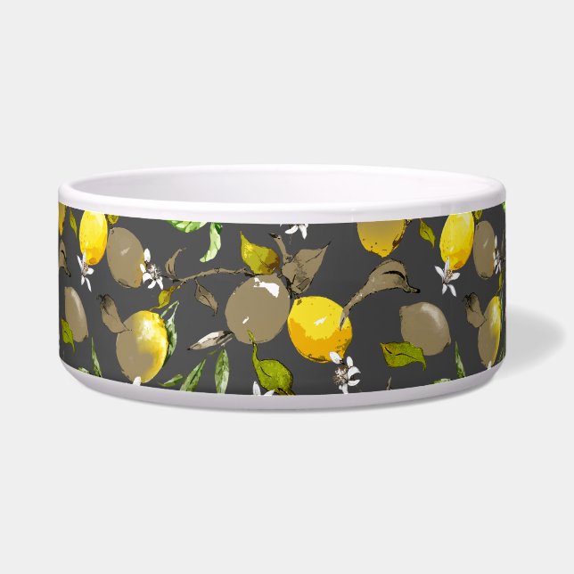 Comedero Lemones acuarelas 34 (Frente)