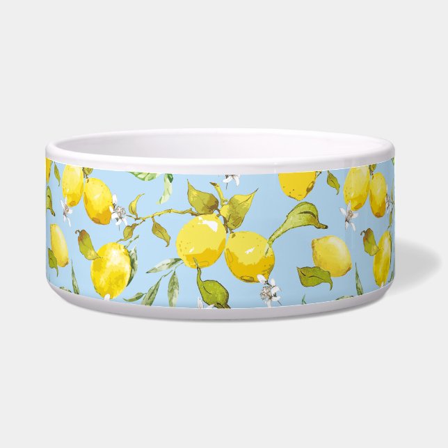 Comedero Lemones acuarelas 4 (Frente)