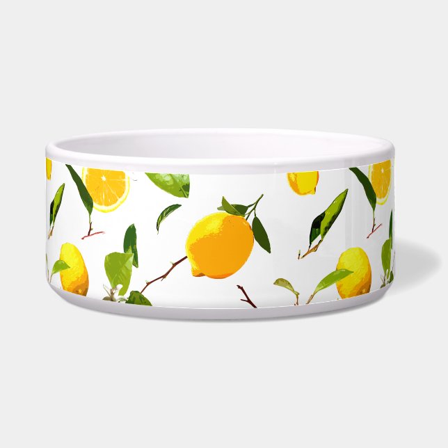 Comedero Limón acuático y hojas 16 (Frente)