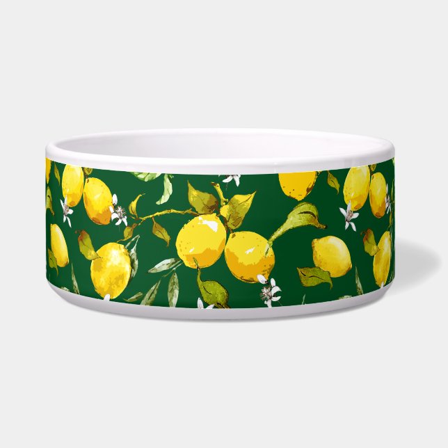 Comedero Limones acuarela 9 (Frente)
