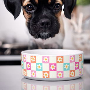 Comedero Linda mascota de tablero de damas de margarita sim