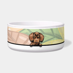 Comedero Lindo Dachshund Espiando, comida o bebida