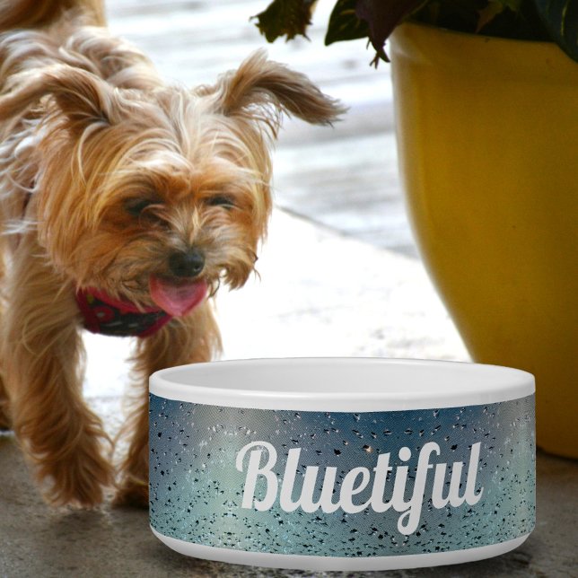 Comedero Lluvias esparcen con el nombre de Mascota Aqua (Subido por el creador)