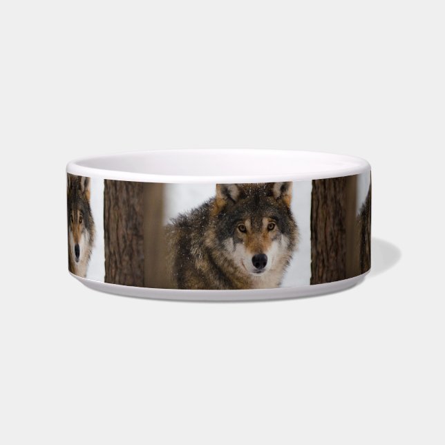 Comedero Lobo gris europeo (Frente)