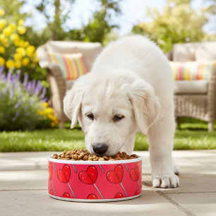 Comedero Lollipop Bowl