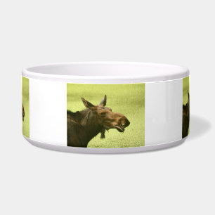 Comedero Los alces hicieron alguien para decir la torta
