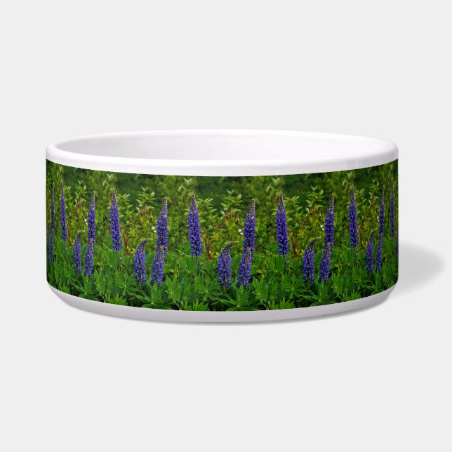 Comedero Lupines (Frente)