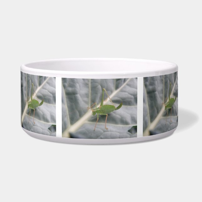 Comedero Macrotaurino de críquet verde (Frente)