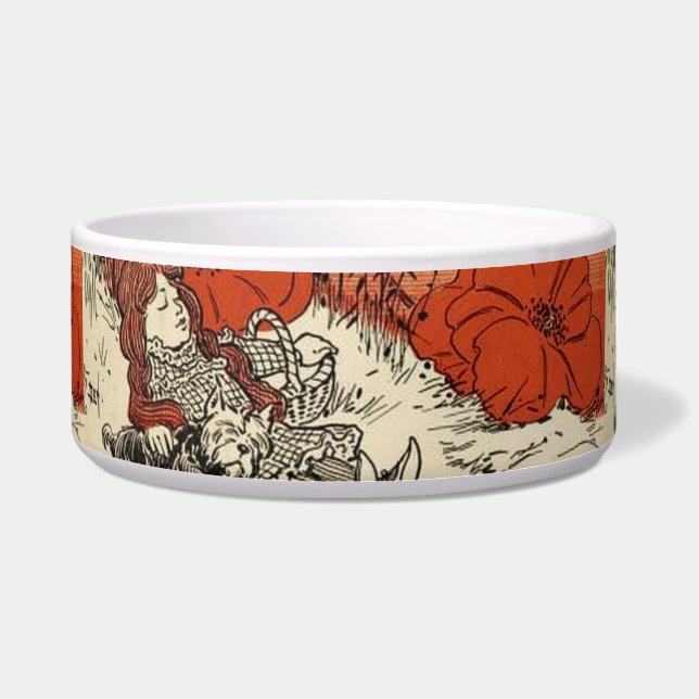 Comedero Mago de Oz Pet Bowl (Frente)