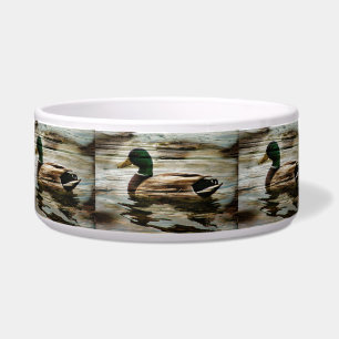 Comedero Mallard Duck