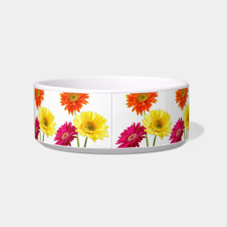 Comedero Margarita del Gerbera