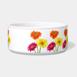 Comedero Margaritas del Gerbera