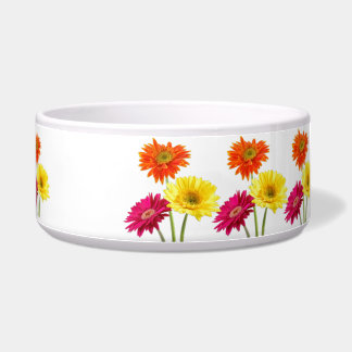 Comedero Margaritas del Gerbera