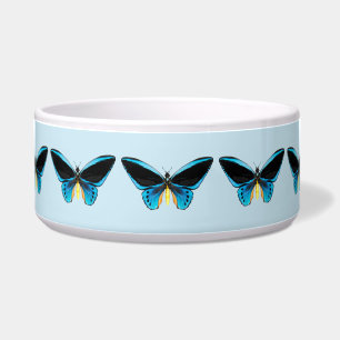Comedero Mariposa Ala de Pájaro