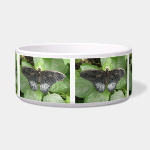 Comedero Mariposa tropical bonito y tazón de perro con flor