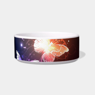 Comedero Mariposas nocturnas brillantes