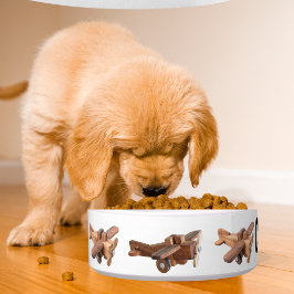 Comedero Mascota adorable con nombre personalizado y avión 