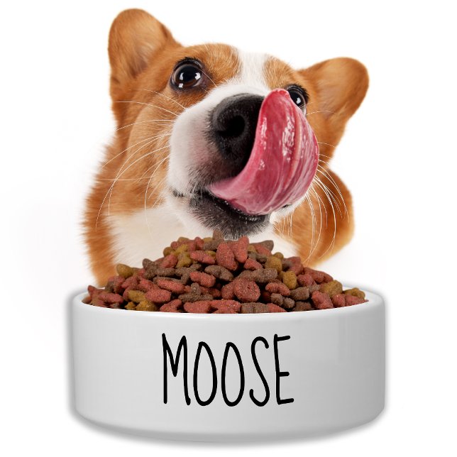 Comedero Mascota Cachorro Cachorro de alimentos personaliza (Subido por el creador)