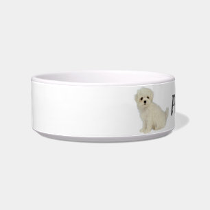 Comedero Mascota de perro maltés personalizado Animal