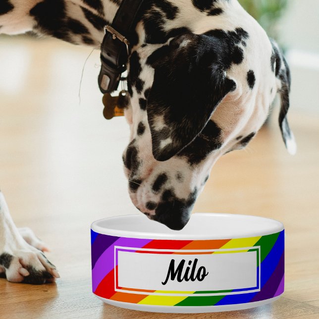 Comedero Mascota Diagonal Arcoiris colorido (diagonal rainbow color pet bowl with Dalmatian dog)