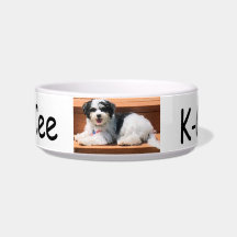 Mascota Dish Medium, Perro K-Cee
