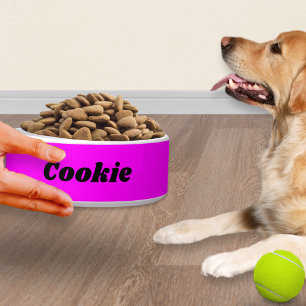 Comedero Mascota Perro Personalizado Moderno Elegante Rosa