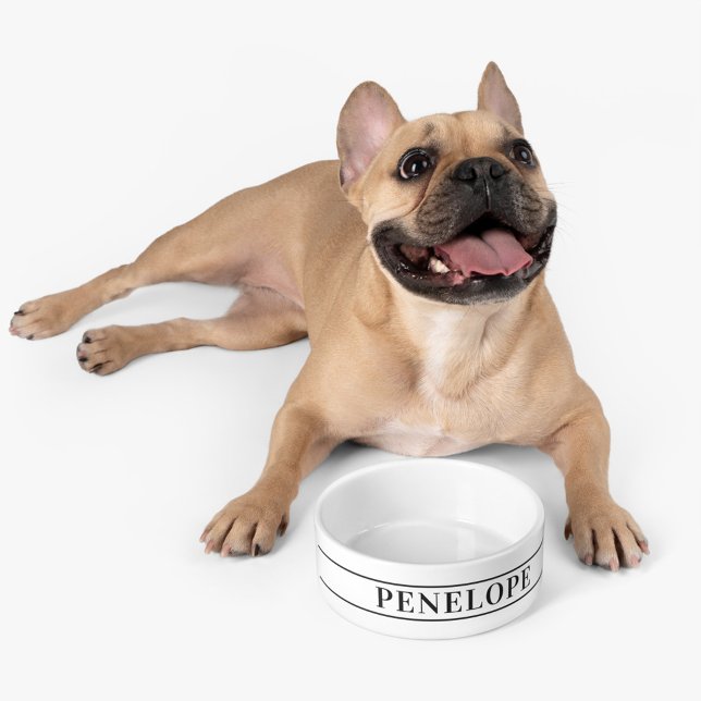 Comedero Mascota personalizado Nombre Personalizado moderno (Cute Personalized Pet Dog Bowl)