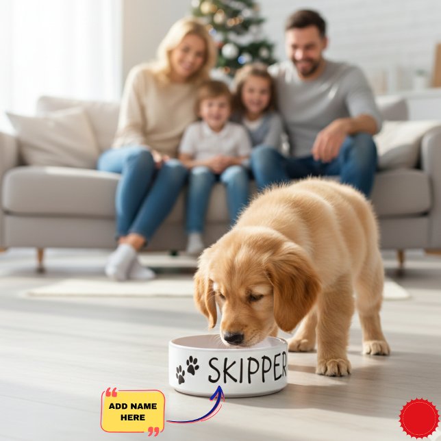 Comedero Mascota Personalizado Nombre Tazón de Cerámica: ¡R (Personalized Pet Name Ceramic Bowl: Perfect Gift)