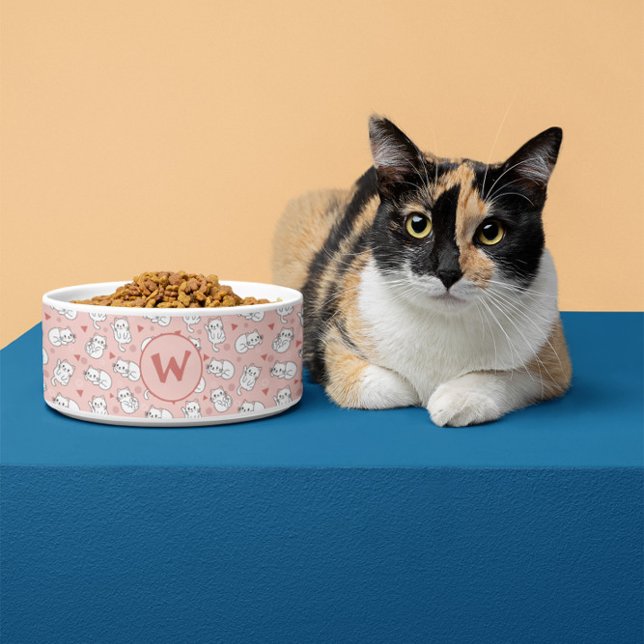 Comedero Mascotas Patrón de Gatos Divertidos Rosa Blanco Pe (Subido por el creador)